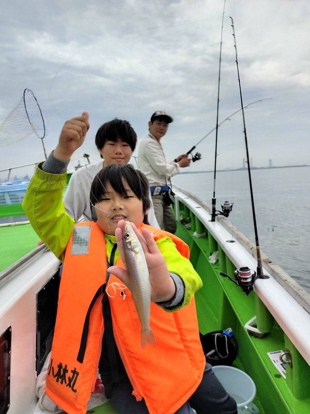 シロギス
