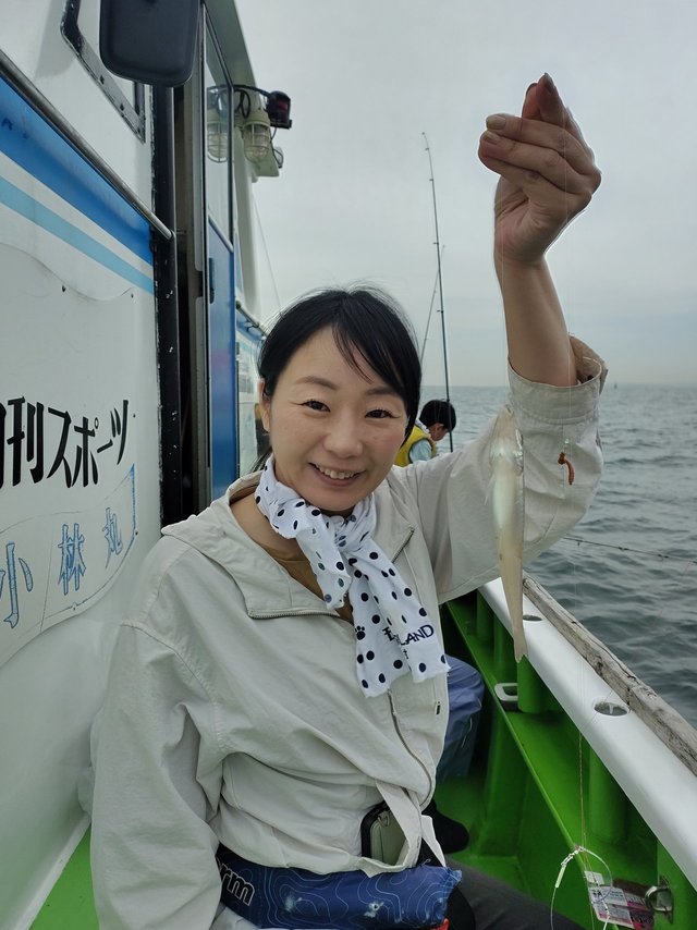 シロギス