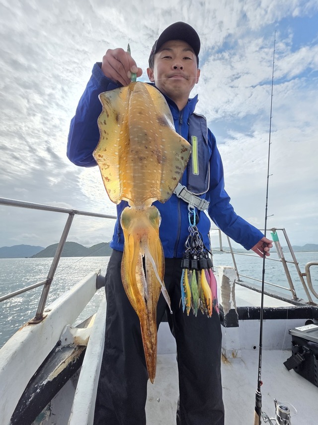 アオリイカ