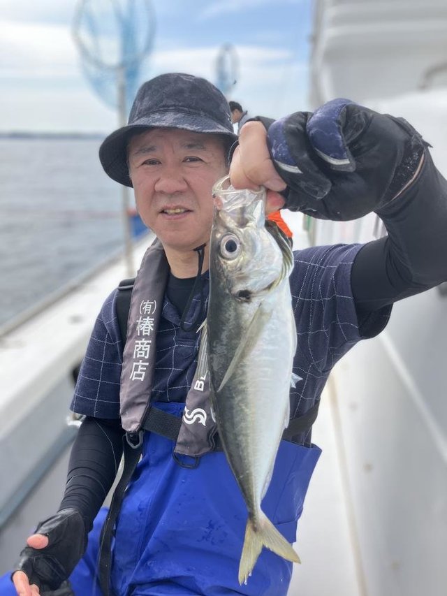 アジ(マアジ)