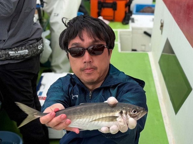 アジ(マアジ)