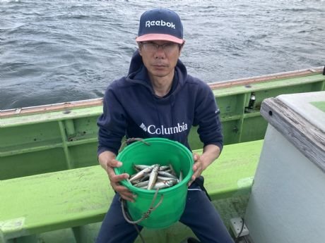 シロギス