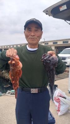 ソイ(クロソイ)・カサゴ