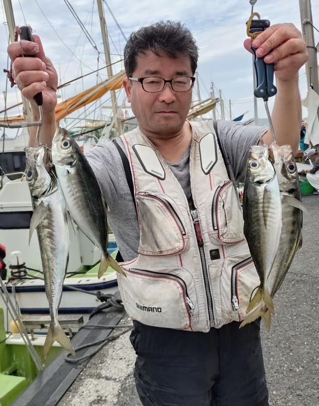 アジ(マアジ)