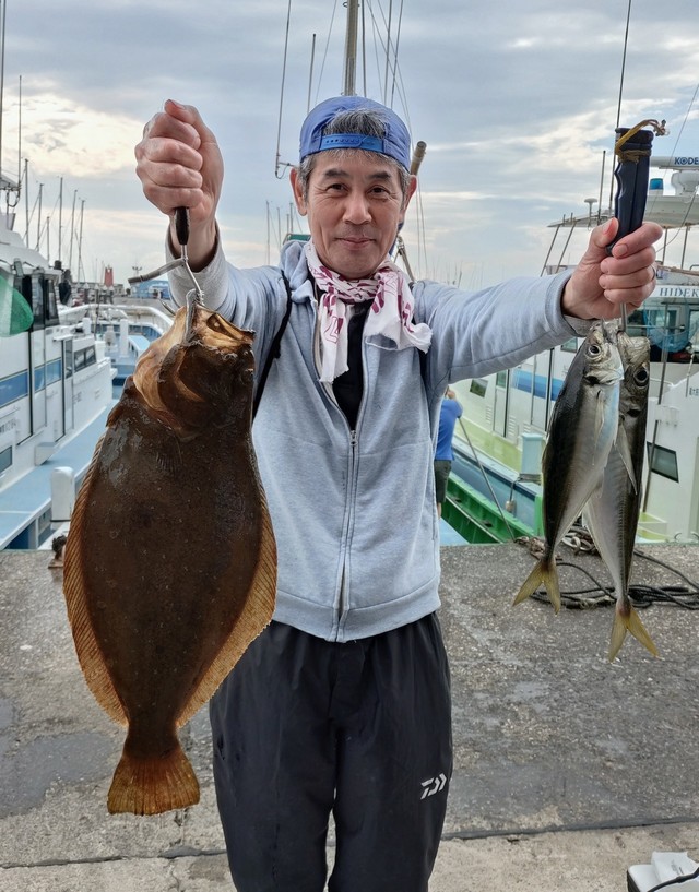 アジ(マアジ)・ヒラメ