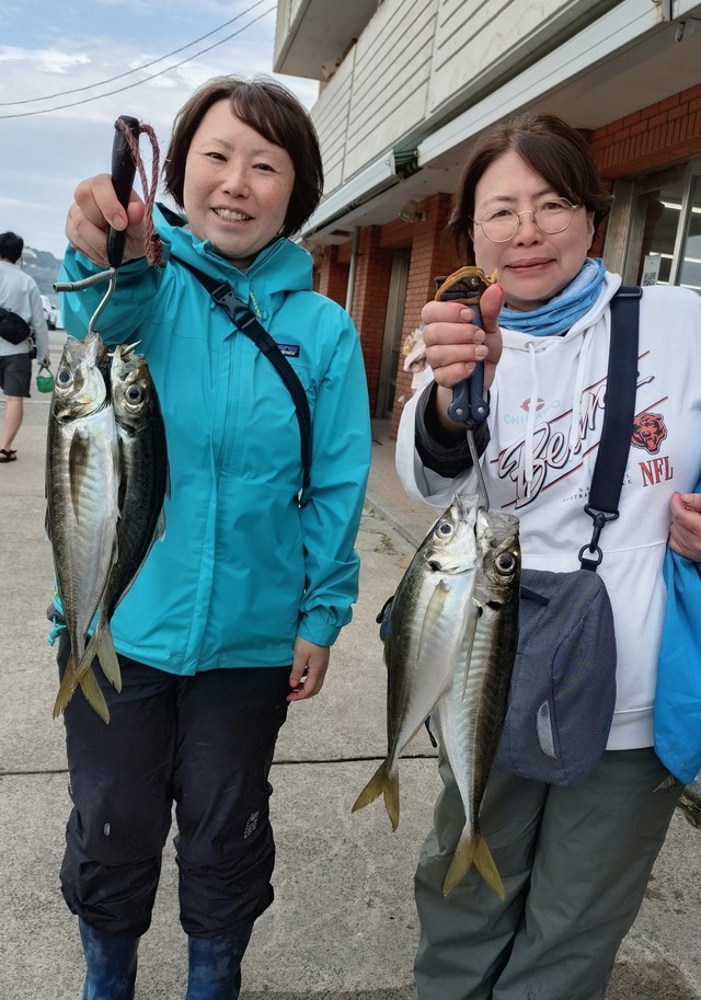 アジ(マアジ)