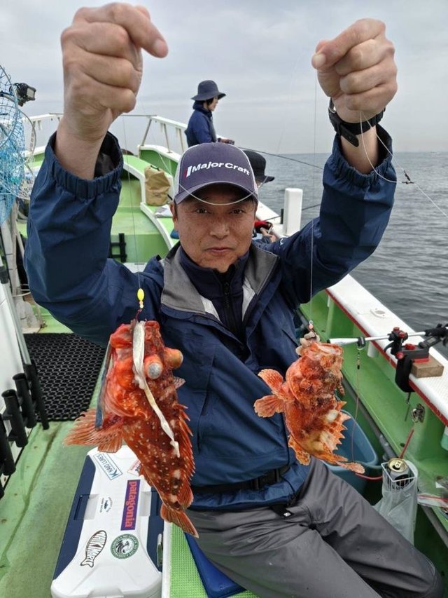 オニカサゴ