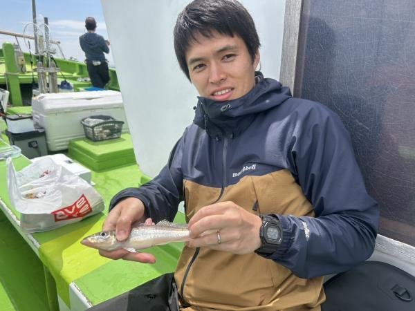 シロギス