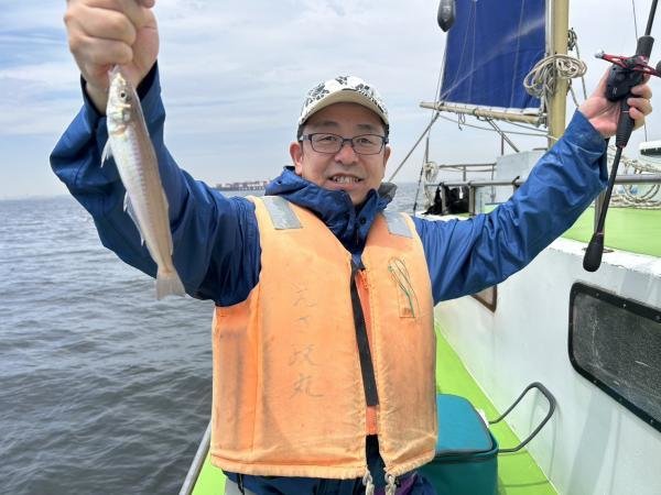 シロギス