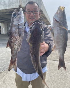 クロムツ