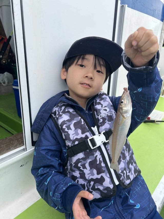 シロギス