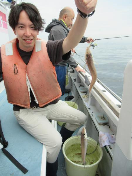 シロギス