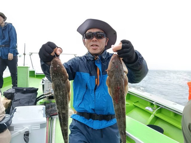 マゴチ