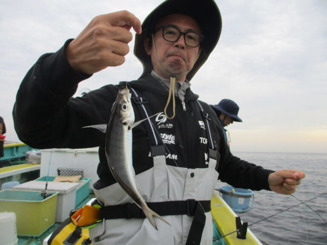 アジ(マアジ)