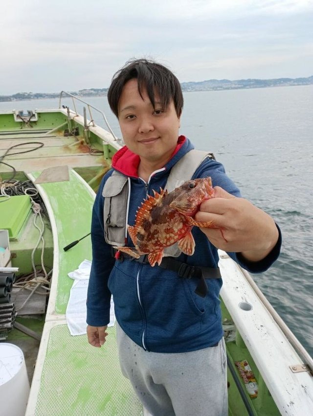カサゴ