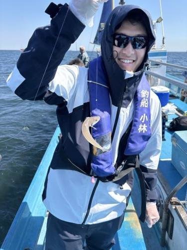 シロギス
