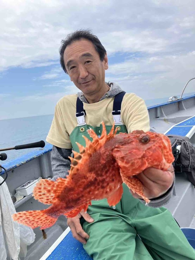 オニカサゴ
