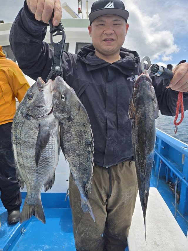 クロダイ