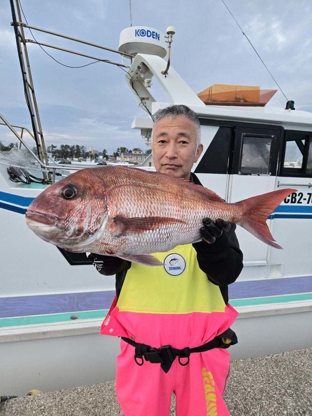 マダイ