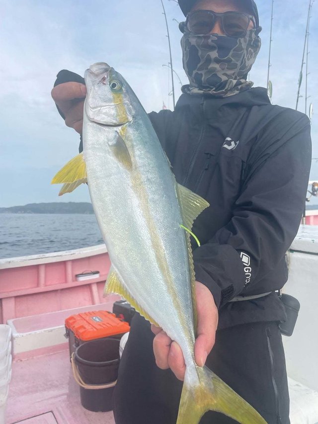ヒラマサ