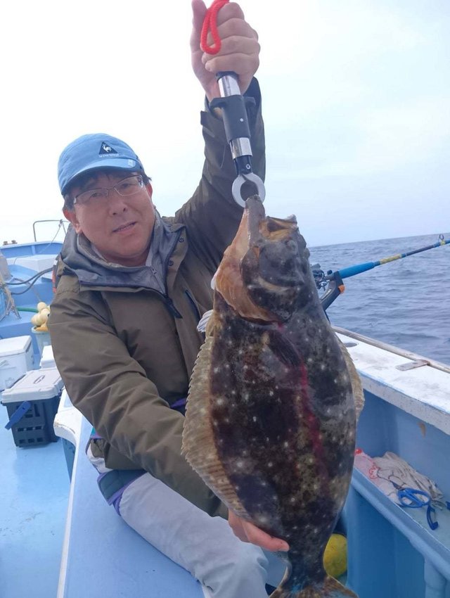 ヒラメ