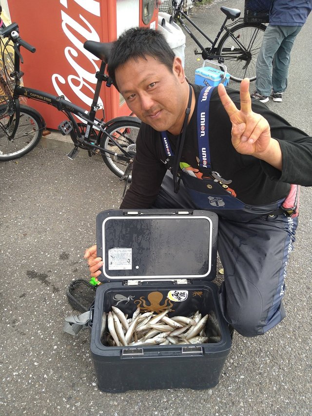 シロギス