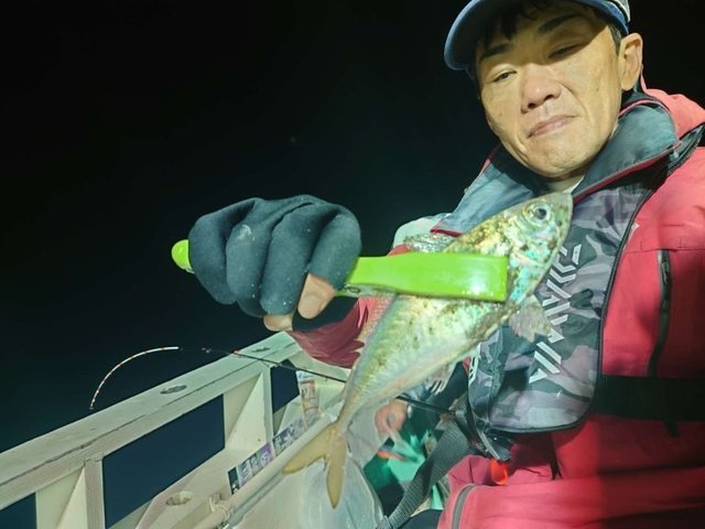 アジ(マアジ)