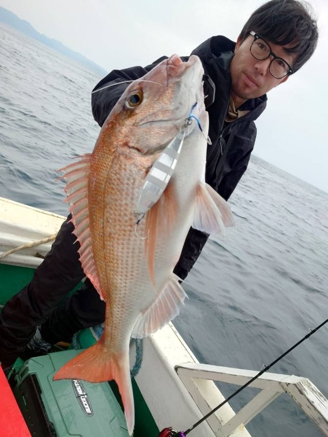 マダイ