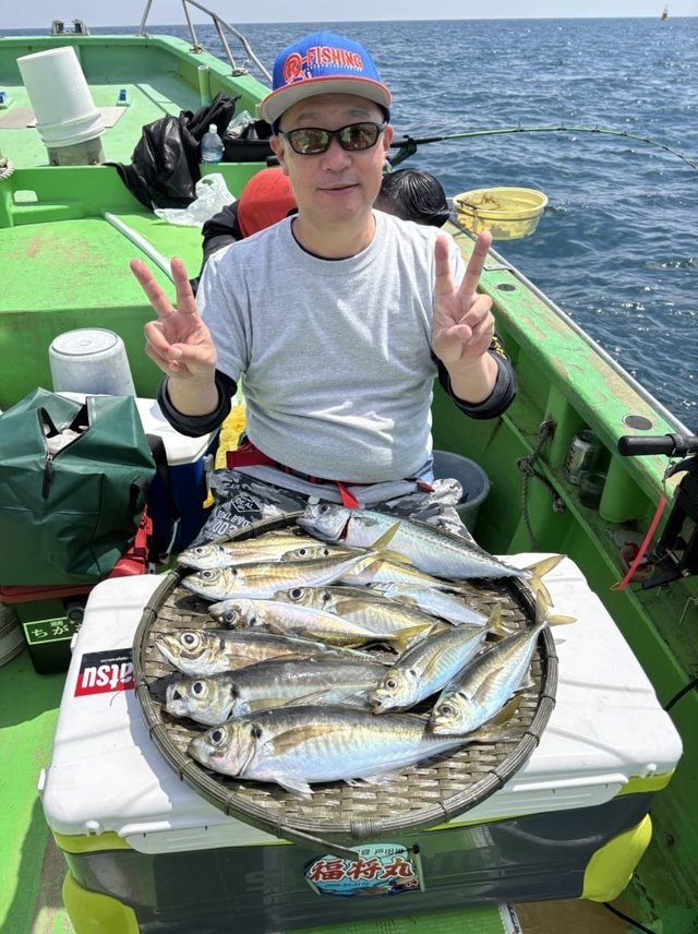 アジ(マアジ)