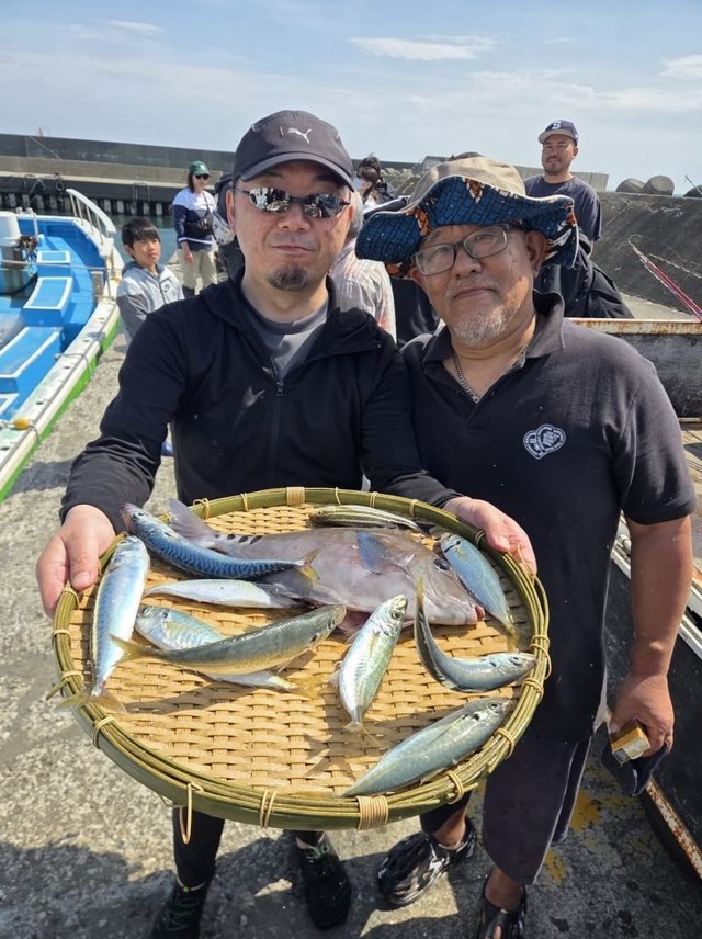 アジ(マアジ)