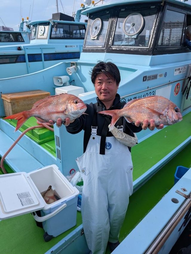 マダイ