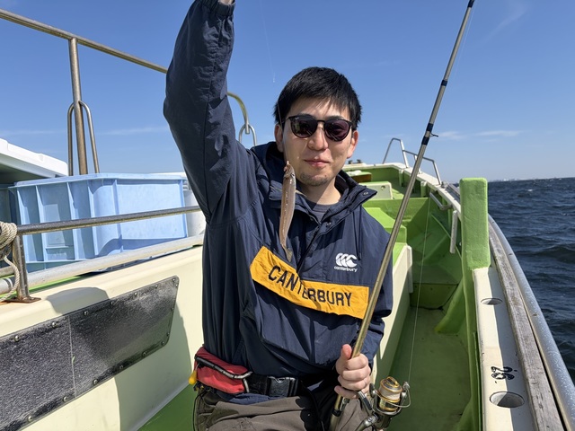 シロギス