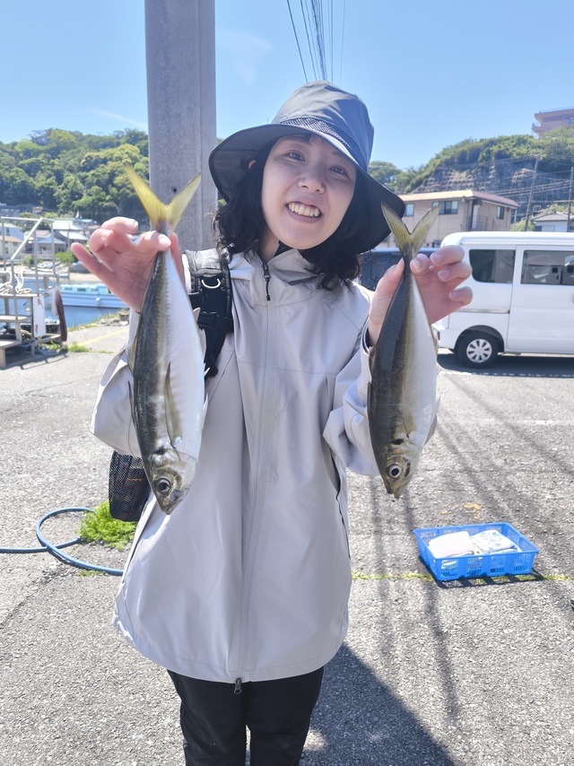 アジ(マアジ)