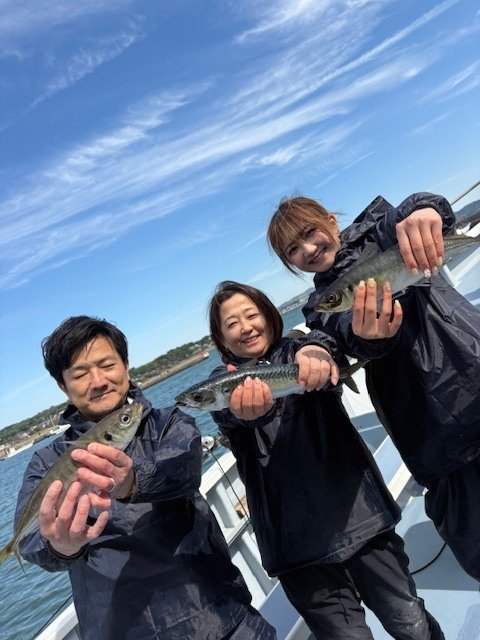 アジ(マアジ)