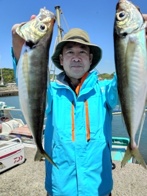 アジ(マアジ)