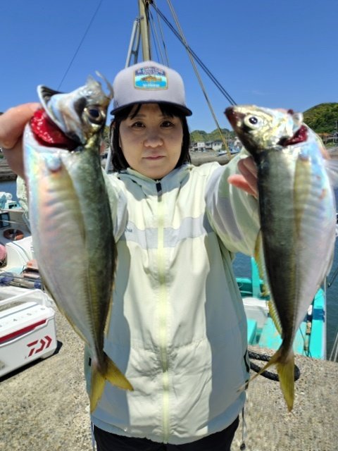 アジ(マアジ)