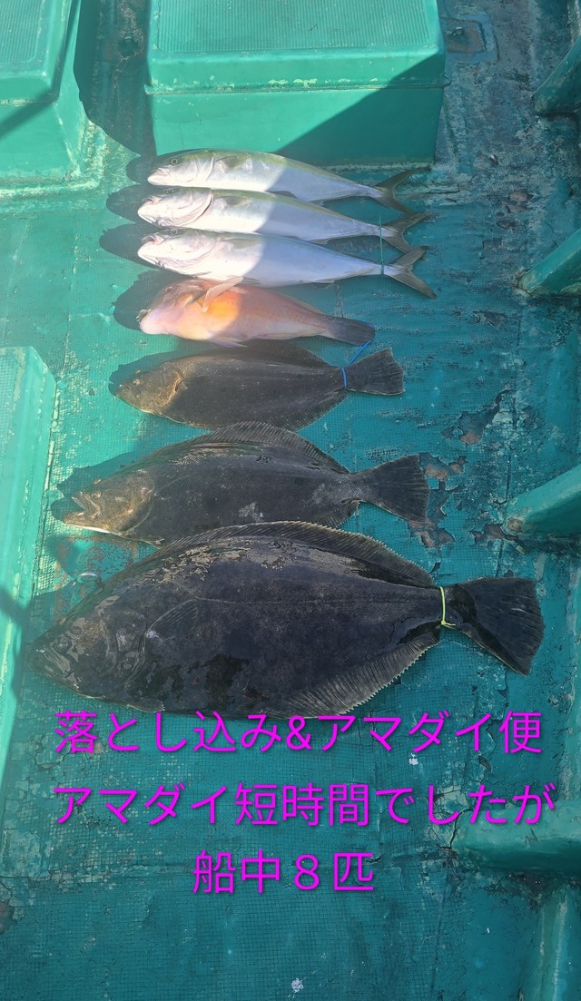 ハマチ(ブリ)・シロアマダイ・ヒラメ