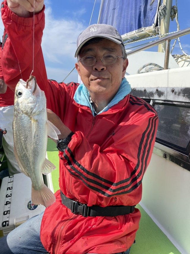 イシモチ(シログチ)