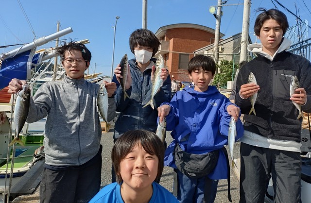 アジ(マアジ)