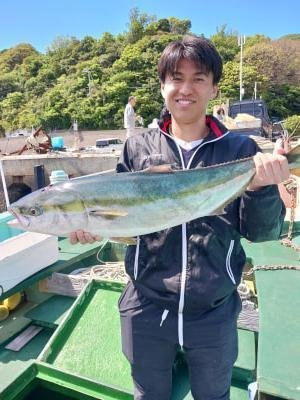 メジロ(ブリ)
