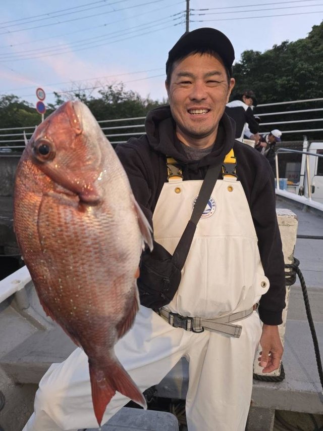 マダイ