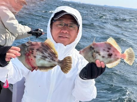 カワハギ