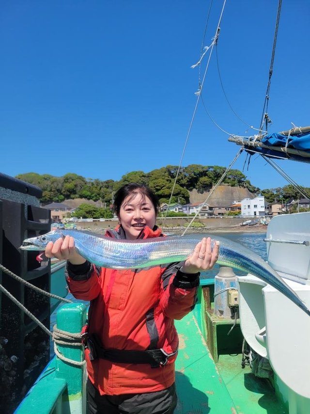 タチウオ