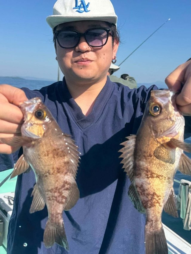 メバル