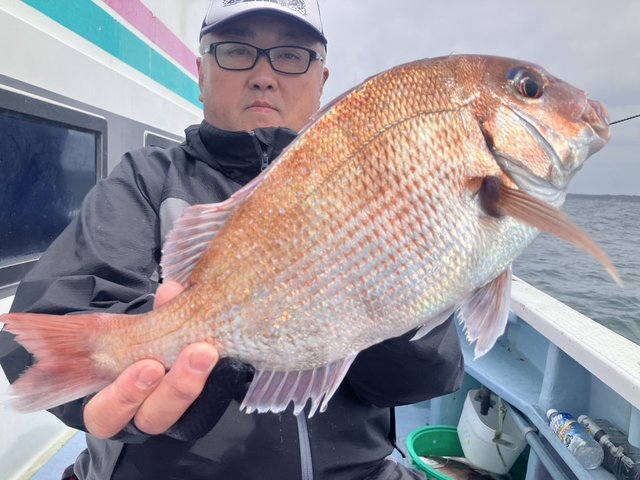 マダイ
