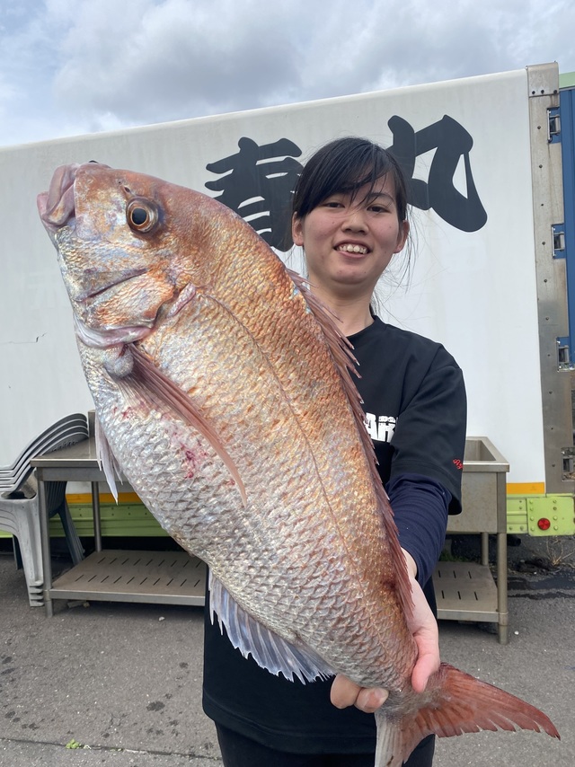 マダイ