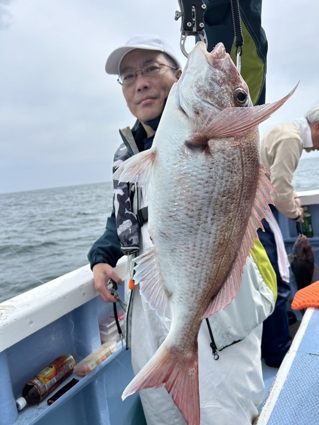 マダイ