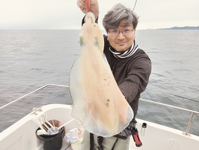 アオリイカ