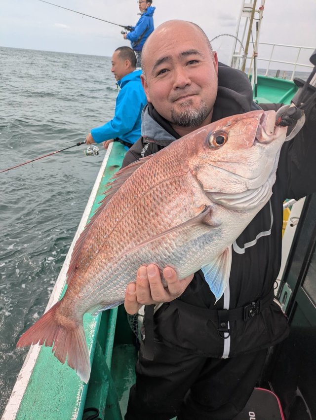 マダイ