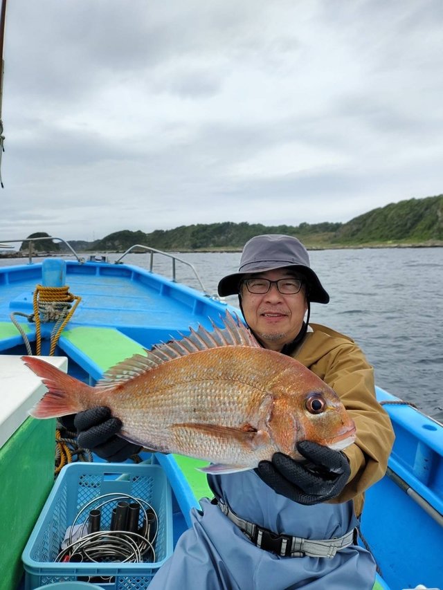 マダイ